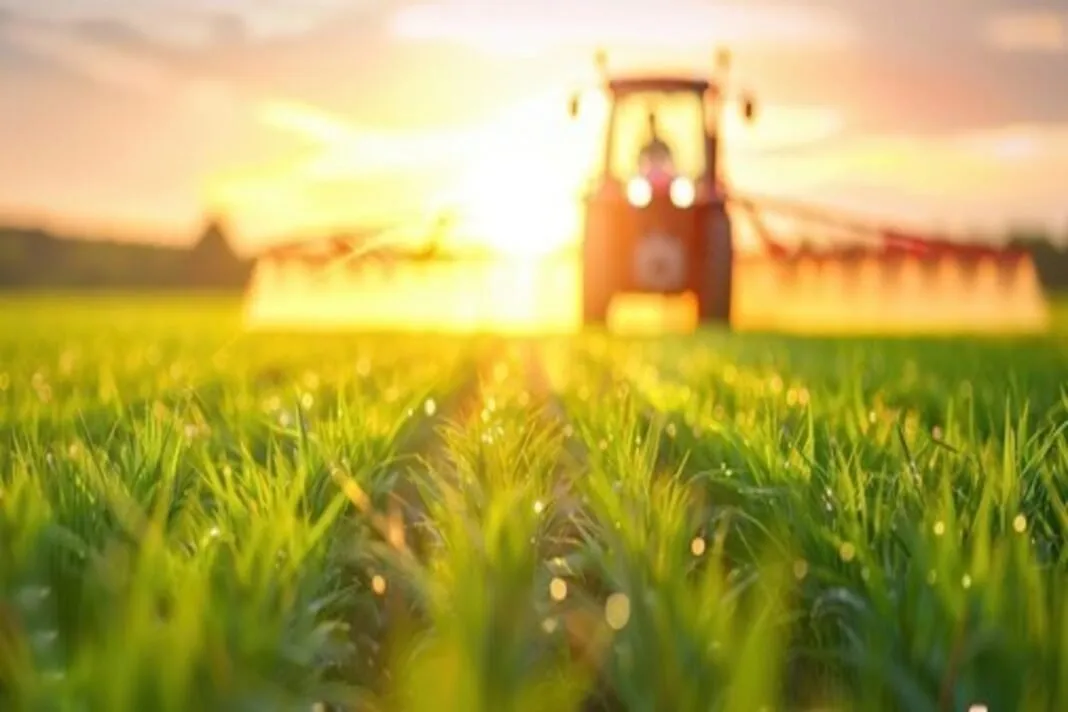 Gujarat Government Scheme