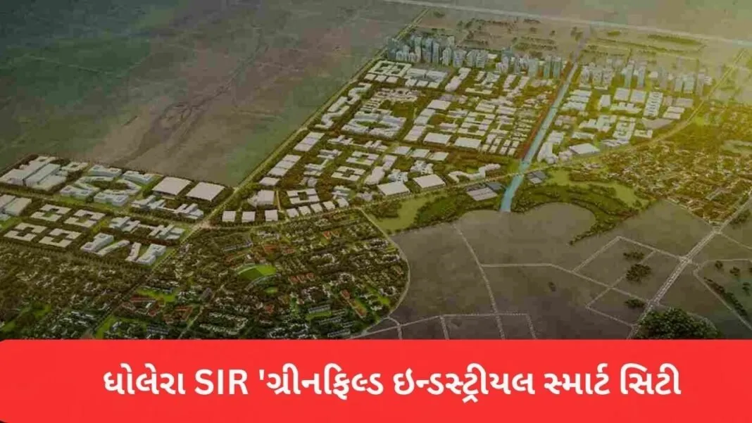 Gujarat: ગુજરાતમાં ‘એક પેડ મા કે નામ’ અભિયાન હેઠળ ૧૭ કરોડથી વધુ વૃક્ષોનું વાવેતર, બોટાદ અને કચ્છ જિલ્લામાં નોંધપાત્ર પ્રગતિ