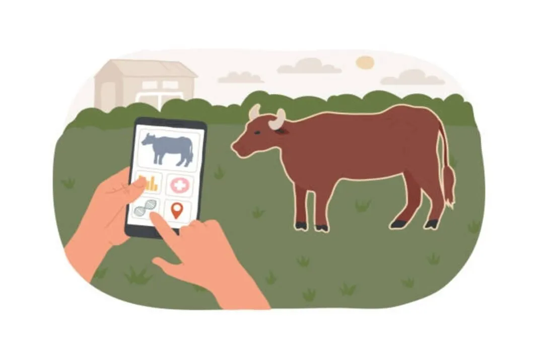 Ai Cow Health : અમદાવાદ: હવે AI ટેક્નોલોજી દ્વારા ગાયની તબિયતની દેખરેખ, AMC નો મહત્વાકાંક્ષી પ્રોજેક્ટ શરૂ