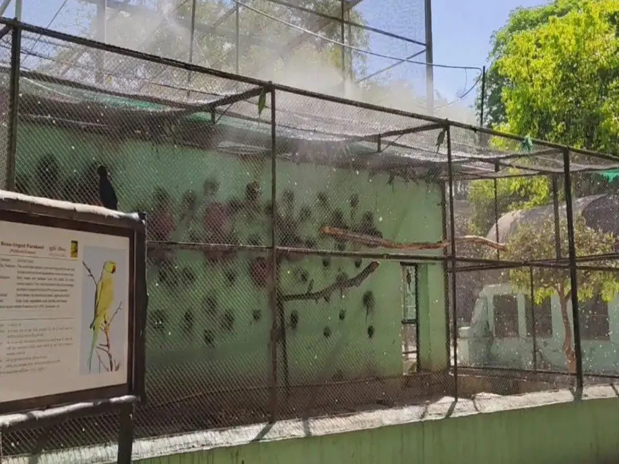 Junagadh Sakkarbaug Zoo