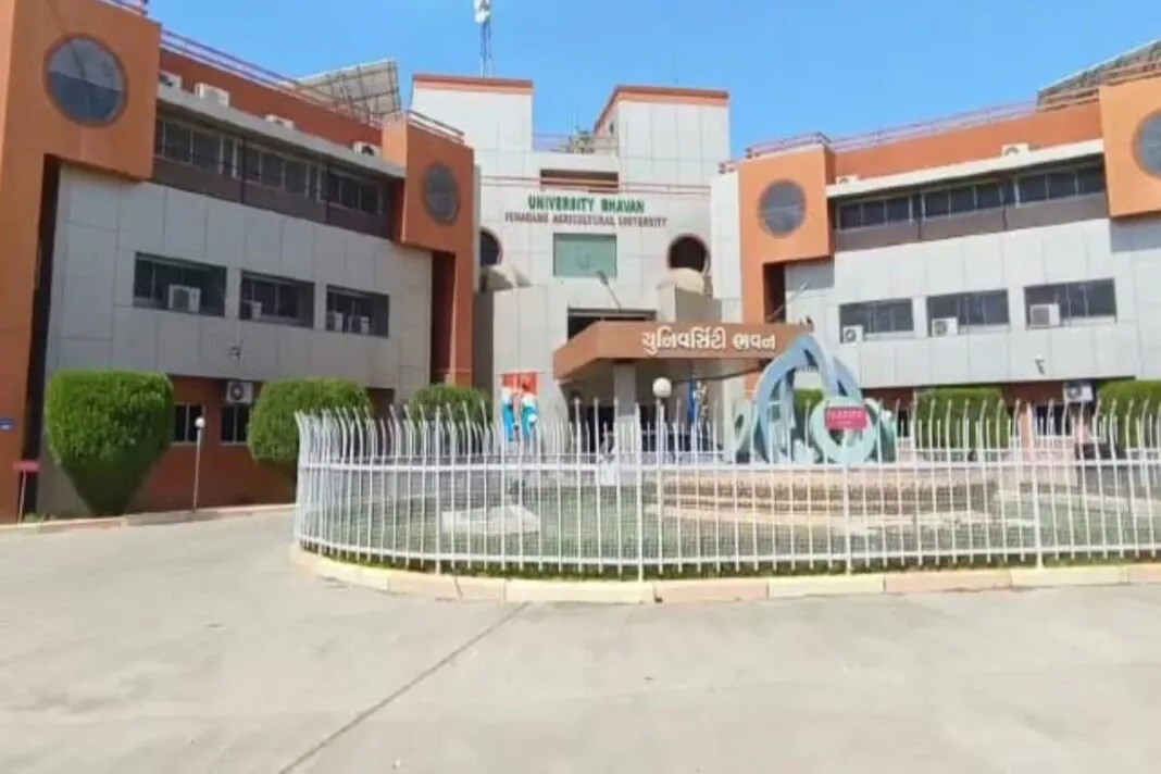 Krushi Mela 2025 : ખેડૂતો માટે સુવર્ણ તક: જૂનાગઢ કૃષિ યુનિવર્સિટીમાં હાઈટેક મશીનરીનું પ્રદર્શન, જરૂર નોંધો વિગત