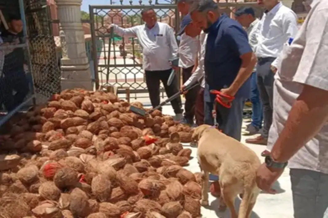 Ambaji Temple security: કાશ્મીર આતંકી હુમલા પછી અંબાજી મંદિરે સુરક્ષા વ્યવસ્થા વધુ સઘન: SOG, ડોગ સ્કવોડ અને સ્થાનિક પોલીસે હાથ ધર્યું ચુસ્ત ચેકિંગ