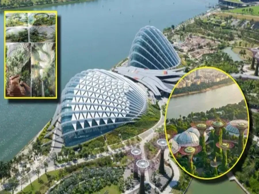 AI Indoor Forest Gujarat : સાબરમતી નદી કિનારે બનશે ગુજરાતનું પહેલું ‘AI ઇન્ડોર ફોરેસ્ટ’; જાણો આ વિશિષ્ટ પ્રોજેક્ટ વિશે વિગતે