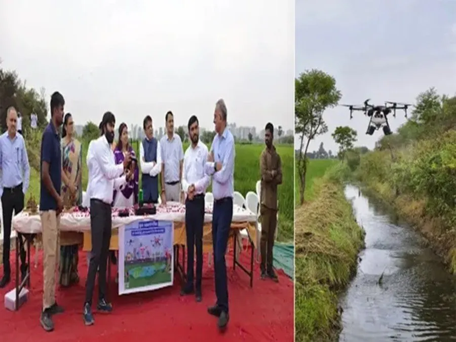 Surat Mosquito Control